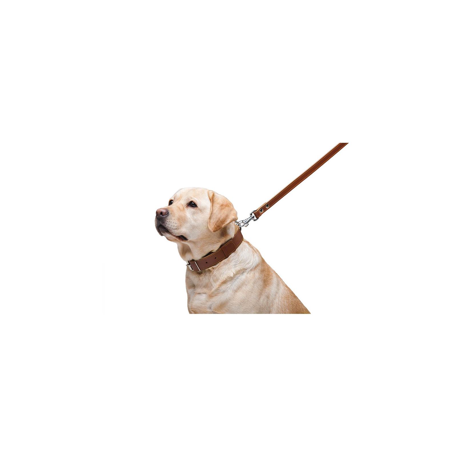 Повідок для собак Collar подвійний з прошивкою Ш 14 мм Д 122 см коричневий (04526) зображення 6