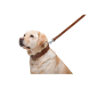 Поводок для собак Collar двойной с прошивкой Ш 20 мм Д 122 см коричневый (04746) изображение 6