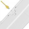 Клавиатура A4Tech Bloody S87 RGB BLMS TKL USB Energy White (4711421993708) изображение 9