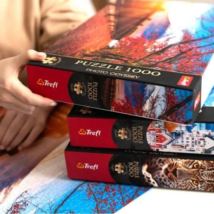 Пазл Trefl Premium Музей Боде в Берлине, Германия 1000 элементов (5900511108125) изображение 5