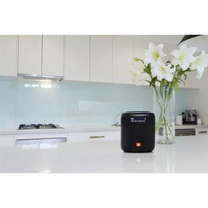 Акустическая система JBL Tuner XL FM Black (JBLTUNERXLBLKEUNA) изображение 8