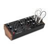 Синтезатор Moog Music Labyrinth (240984) изображение 3