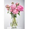 Ваза Bohemia Crystal Margo Plain 30.5 см (B82237-305) изображение 3