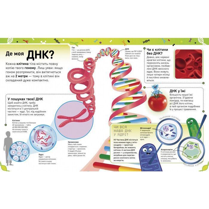 Книга Надзвичайні ДНК. Шалені гени, незламні кодони, верткі хромосоми - Елісон Вуллард Ранок (9786170970480) зображення 7