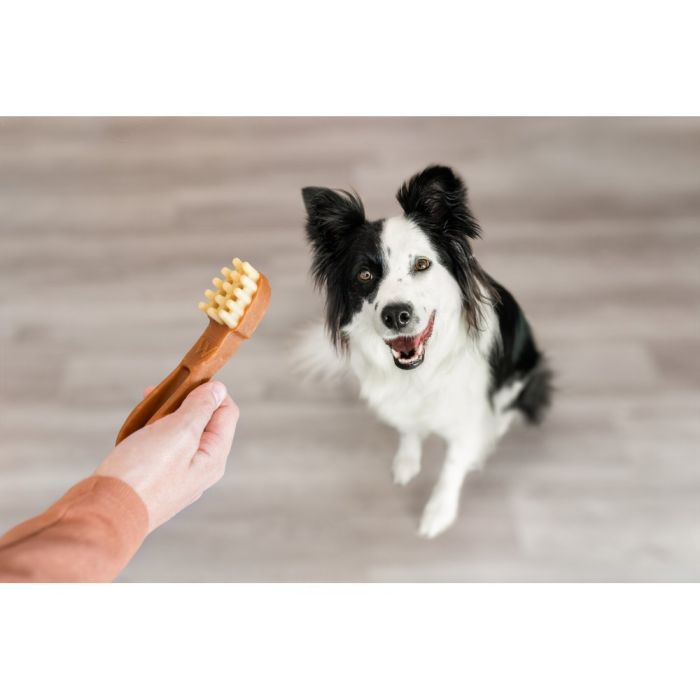 Ласощі для собак Whimzees Toothbrush M 12 шт (8718627750674) зображення 7