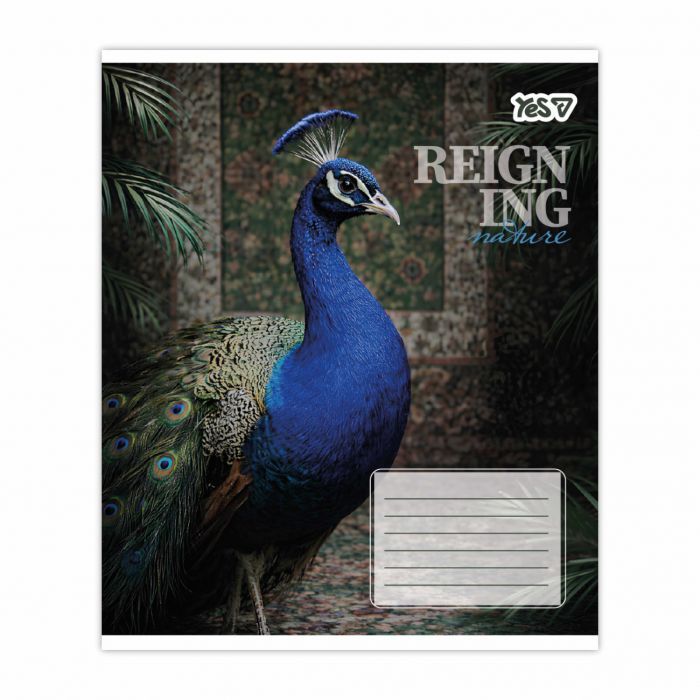 Зошит Yes Reign ing А5 48 аркушів клітинка (769096) зображення 6