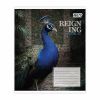 Зошит Yes Reign ing А5 48 аркушів клітинка (769096) зображення 6