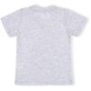 Набор детской одежды Breeze "AWESOME" (11061-116B-gray) изображение 5