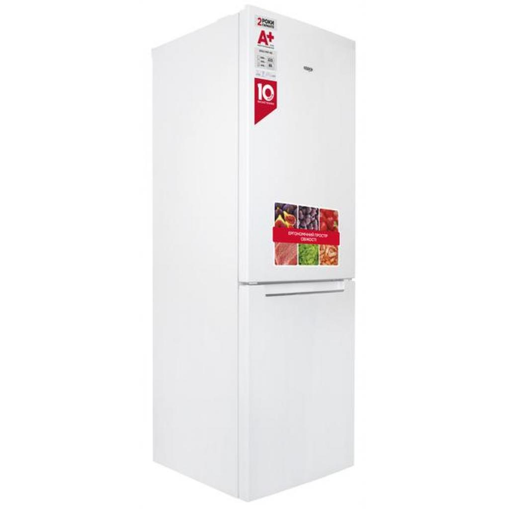 Холодильник Ergo MRFN-185 изображение 2