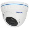 Камера видеонаблюдения Tecsar AHDD-30V5M-out (7635)