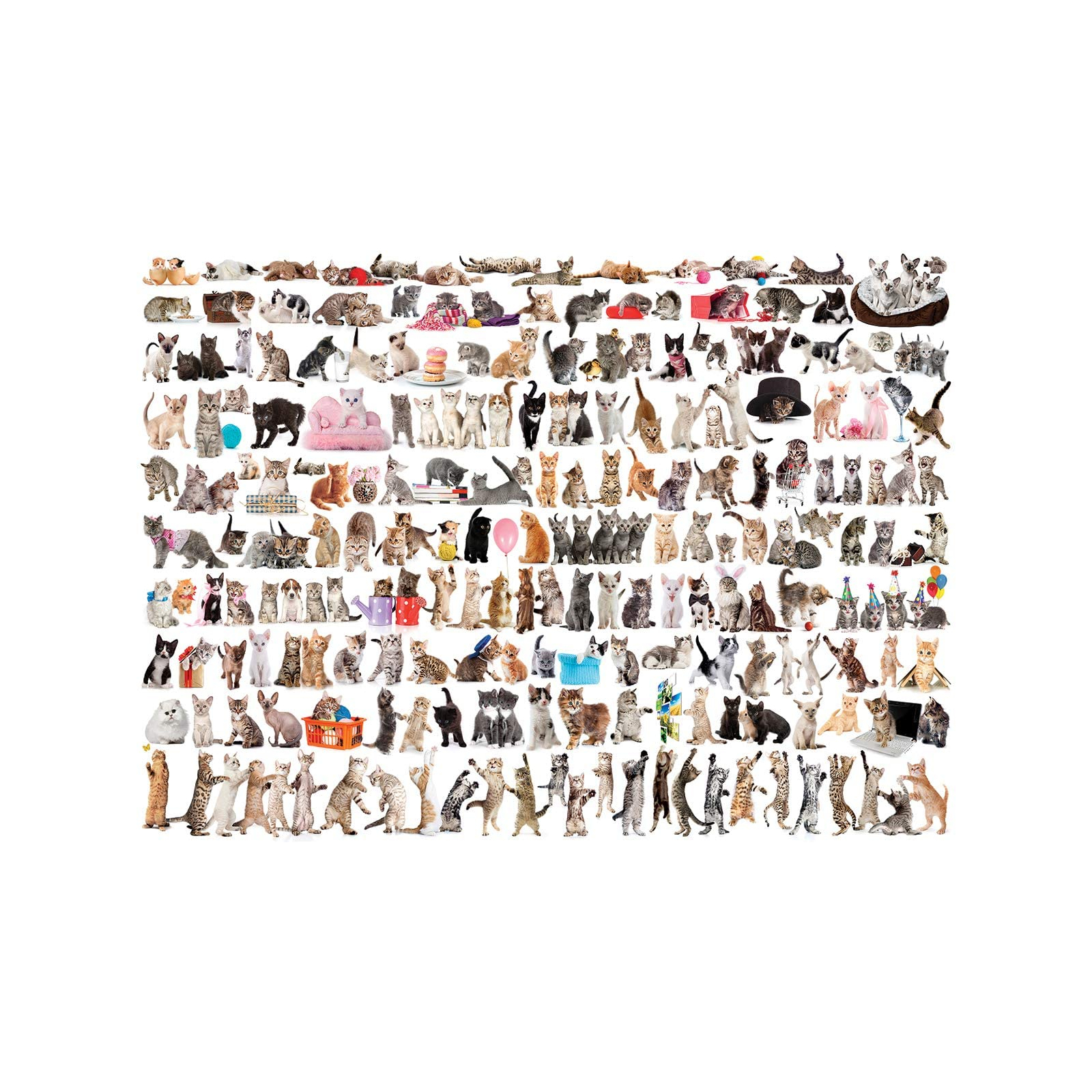 Пазл Eurographics Мир кошек, 1000 элементов (6000-0580) изображение 2