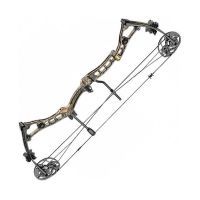 Лук Poe Lang Axis 30-70 LBS Camo (C0-039F)