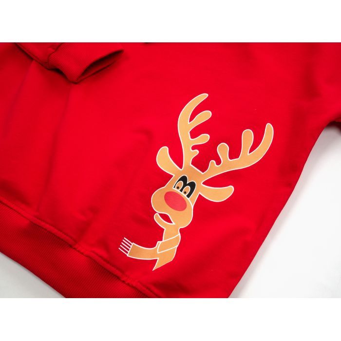 Кофта дитяча Toontoy худі з оленем (22161-116-red) зображення 3