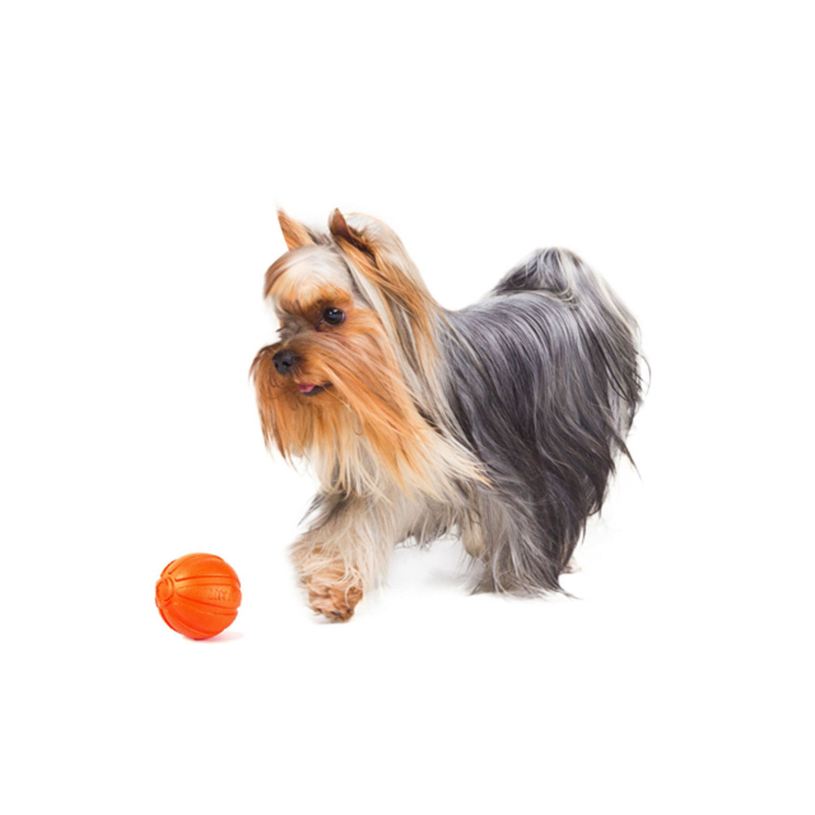 Іграшка для собак Liker М'ячик 11 см (6299) зображення 2