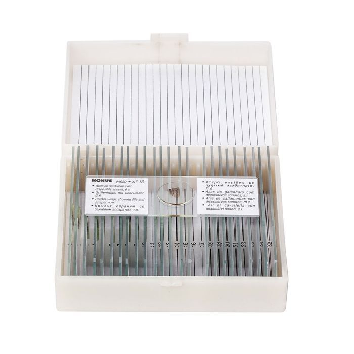 Набір мікропрепаратів Konus Загальна Біологія 25 шт (4976)