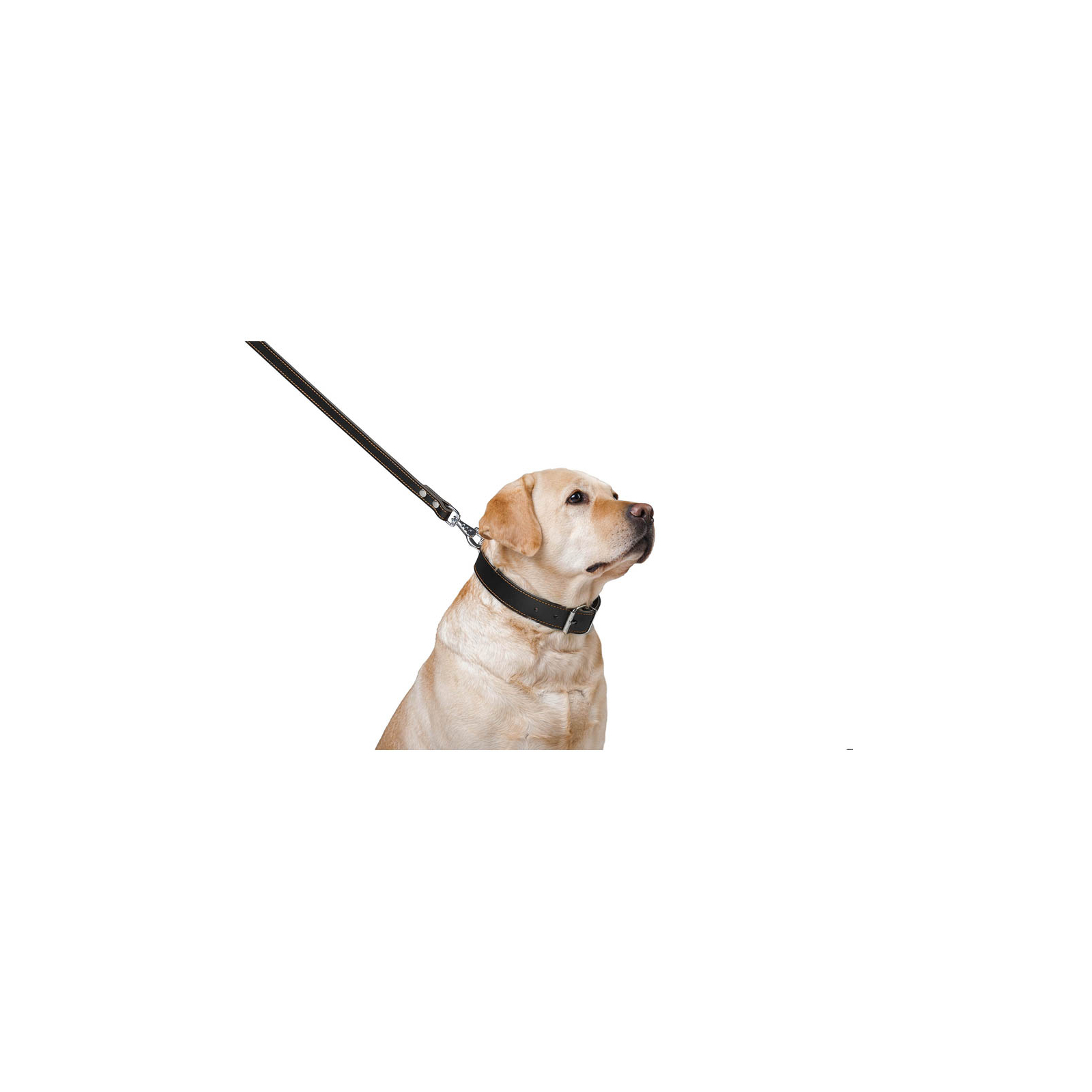 Повідок для собак Collar подвійний з прошивкою Ш 16 мм Д 122 см чорний (04571) зображення 5