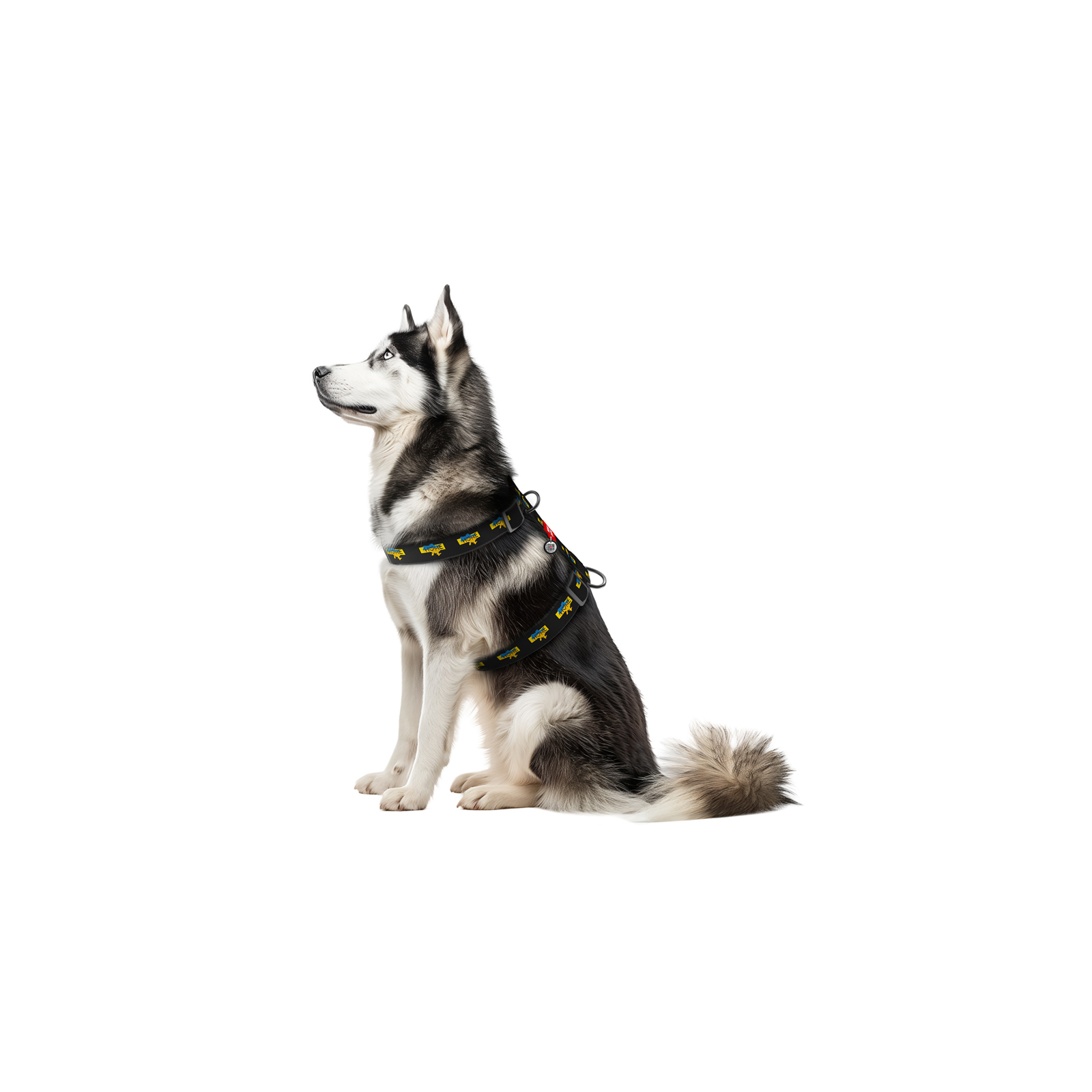 Шлей для собак WAUDOG Nylon анатомическая H-образная с QR-паспортом "Дом" пластиковый фастекс XL (323-0230) изображение 3