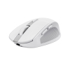 Мишка Trust Ozza compact Bluetooth/Wireless/USB-A White (24933) зображення 3