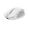Мышка Trust Ozza compact Bluetooth/Wireless/USB-A White (24933) изображение 3