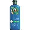 Шампунь Herbal Essences Відновлення Арганова Олія 350 мл (8700216211345)