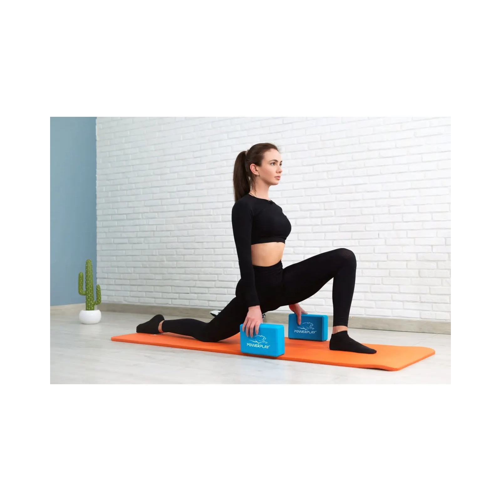 Блок для йоги PowerPlay Yoga Brick EVA 2 шт Сині (PP_4006_Blue_2in) изображение 9