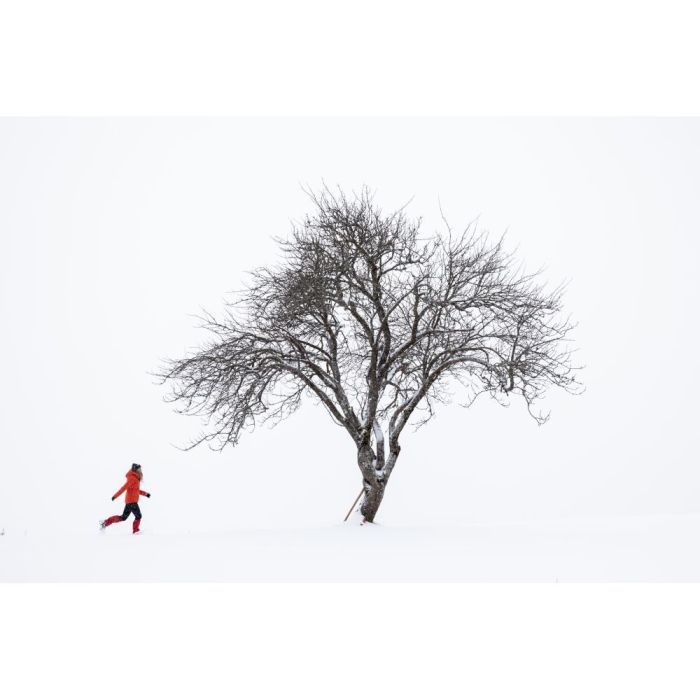 Куртка Turbat Trek Pro Wmn orange red L (012.004.3711) зображення 8