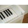 Цифровое пианино Casio AP-S450WE (363172) изображение 7