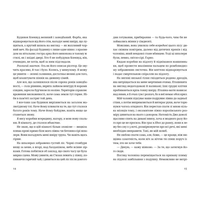 Книга Незнайомець нагорі - Ліза М. Матлін Видавництво Старого Лева (9789664484173) зображення 2