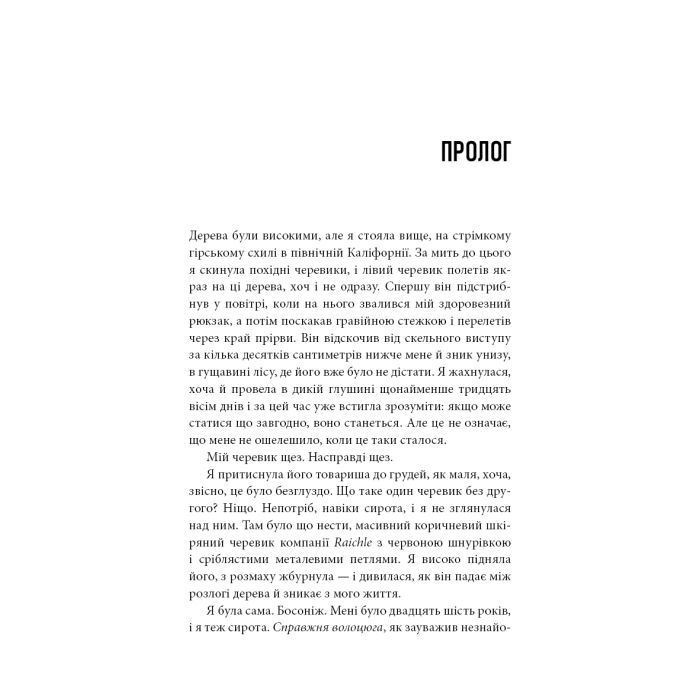 Книга Дика. Шлях від втрати до віднайдення себе - Шерил Стрейд BookChef (9786175482520) зображення 6