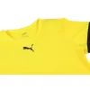 Футболка Puma teamRISE Jersey 704932-07 жовтий XXL (4063699212679) изображение 6