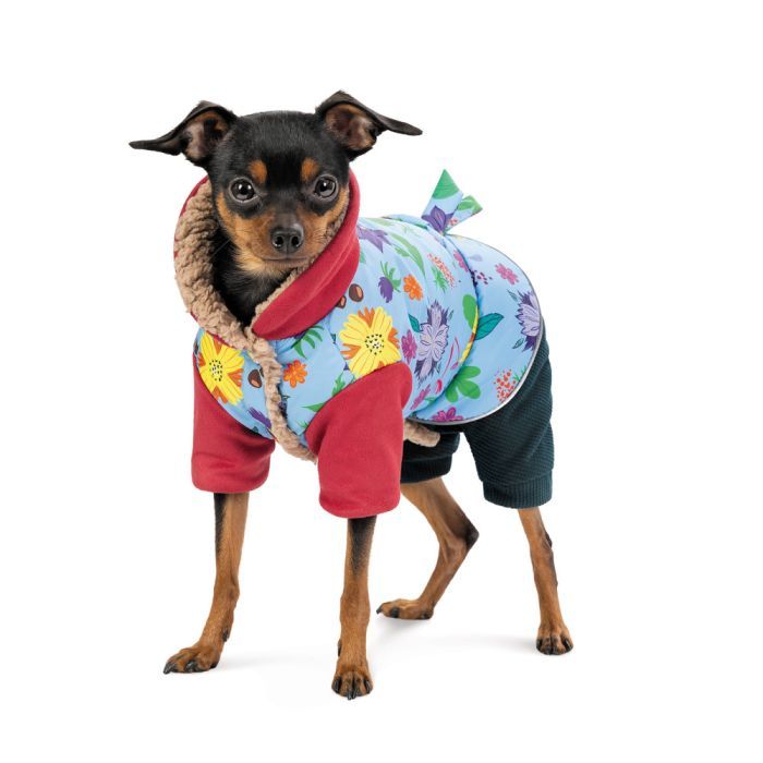 Костюм для животных Pet Fashion Alisa XS (4823082437474) изображение 3