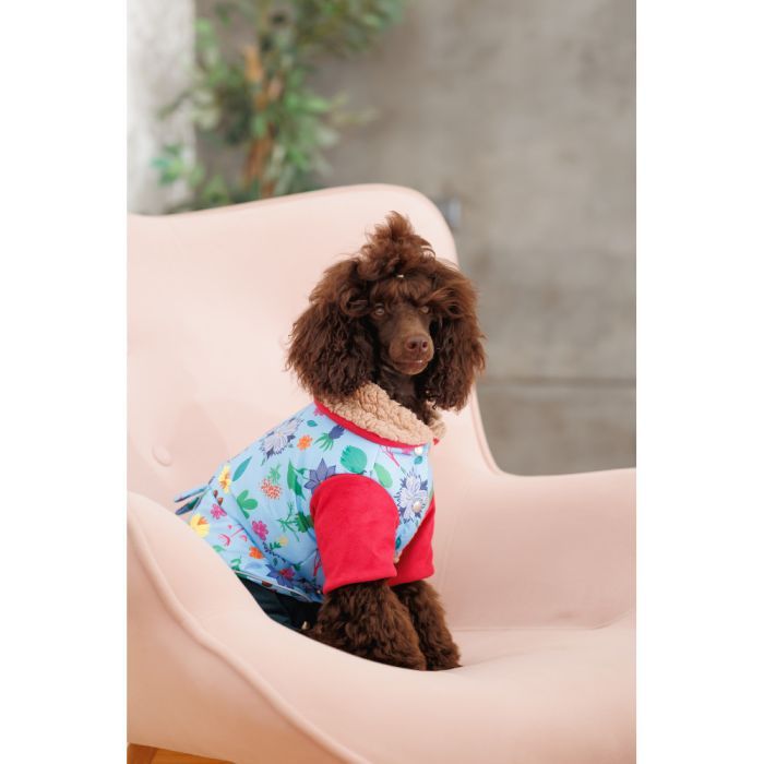 Костюм для животных Pet Fashion Alisa XS (4823082437474) изображение 4