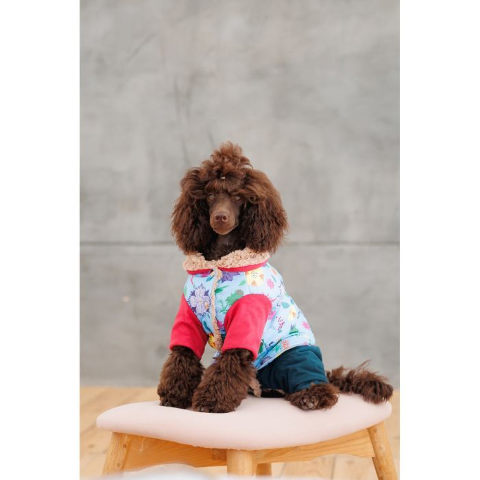 Костюм для животных Pet Fashion Alisa XS (4823082437474) изображение 6