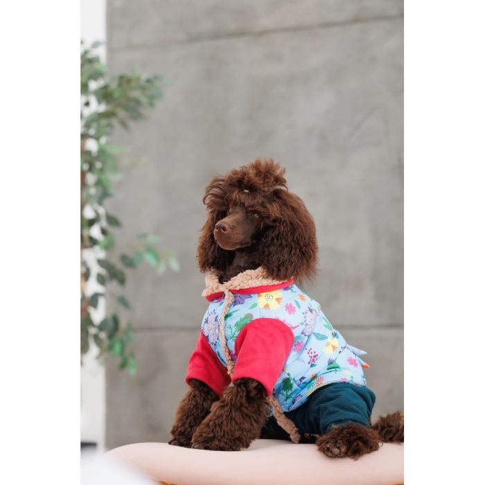 Костюм для животных Pet Fashion Alisa XS (4823082437474) изображение 7