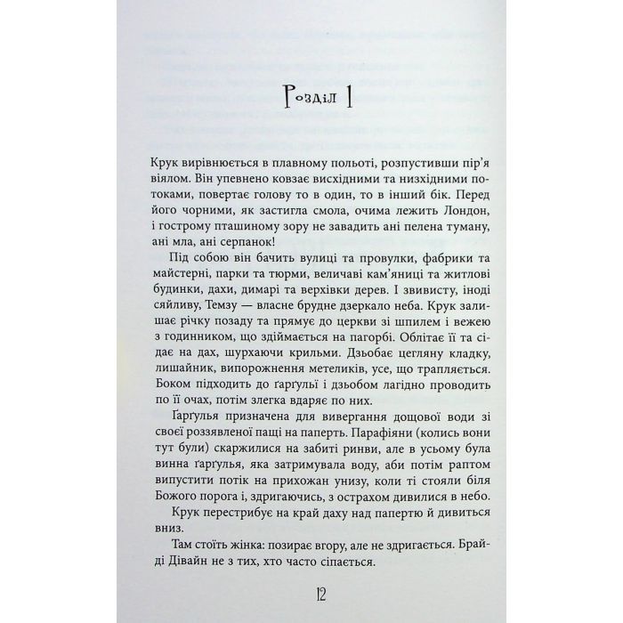 Книга Безсмертя у склі - Джесс Кідд Фабула (9786175222867) зображення 11