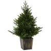 Искусственная елка Chomik в горщику з підсвіткою 90 LED, 90 см (5900779899087) изображение 2