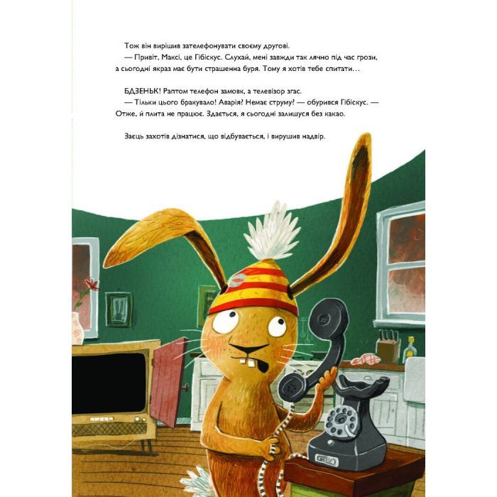 Книга Заєць Гібіскус і моторошне жахіття - Андреас Кеніґ Жорж (9786178287481) изображение 6