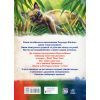 Книга Казки далеких країн - Редьярд Кіплінг Ранок (9786170971357) изображение 2