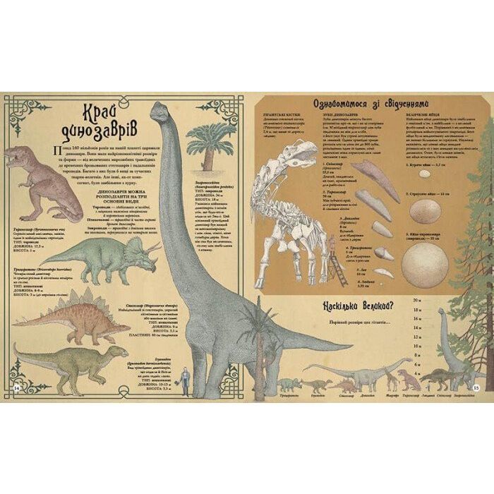 Книга Найвища вежа, найменша зоря - Кейт Бейкер Ранок (9786170966407) зображення 4