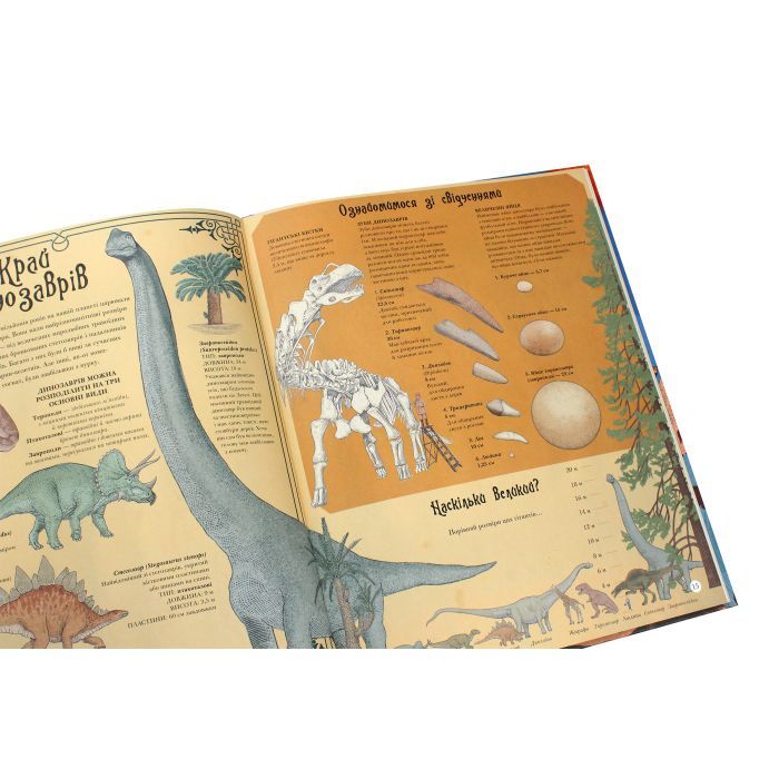 Книга Найвища вежа, найменша зоря - Кейт Бейкер Ранок (9786170966407) изображение 4