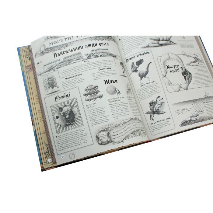 Книга Найвища вежа, найменша зоря - Кейт Бейкер Ранок (9786170966407) изображение 5