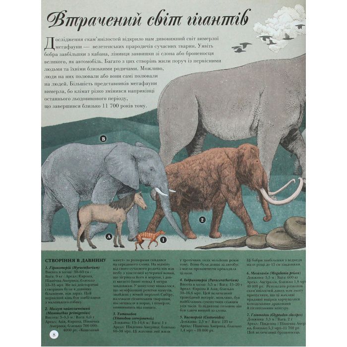 Книга Найвища вежа, найменша зоря - Кейт Бейкер Ранок (9786170966407) изображение 8