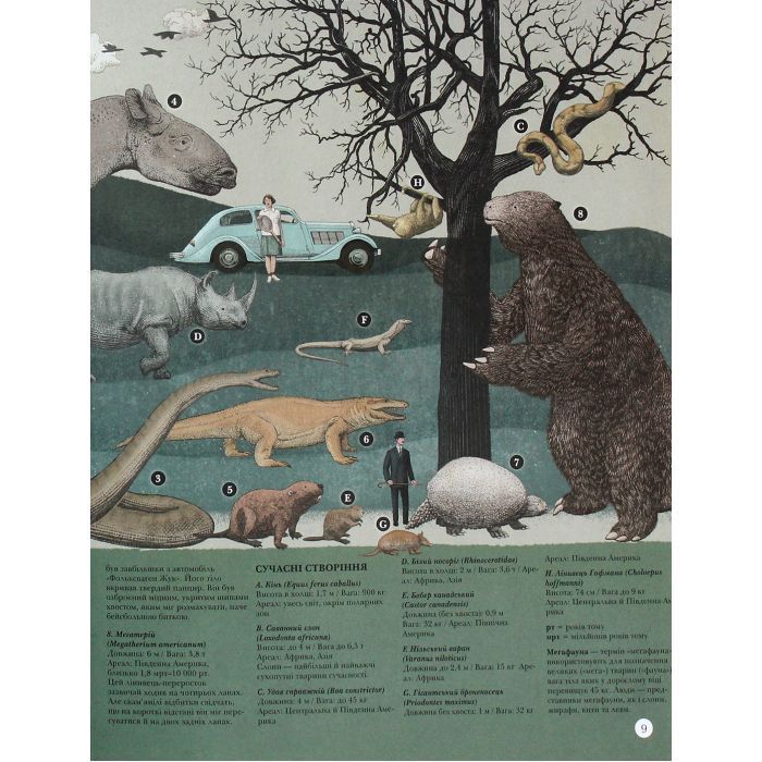 Книга Найвища вежа, найменша зоря - Кейт Бейкер Ранок (9786170966407) изображение 9