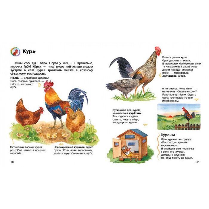 Книга Свійські тварини. Енциклопедія дошкільника - Юлія Каспарова Ранок (9786170969118) изображение 3