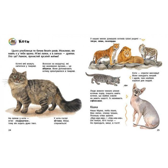 Книга Свійські тварини. Енциклопедія дошкільника - Юлія Каспарова Ранок (9786170969118) изображение 5