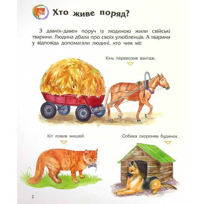 Книга Свійські тварини. Енциклопедія дошкільника - Юлія Каспарова Ранок (9786170969118) зображення 8