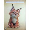 Книга Мавка. Чудові розваги. Пограймо з Мешканцями Лісу Ранок (9786170988706) изображение 8