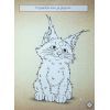 Книга Мавка. Чудові розваги. Пограймо з Мешканцями Лісу Ранок (9786170988706) изображение 9