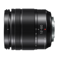 Объектив Panasonic 12-60 mm f/3.5-5.6 ASPH. POWER O.I.S. Lumix G Vario (H-FS12060E) изображение 2