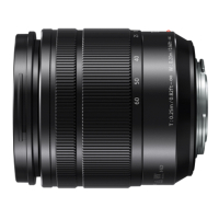 Объектив Panasonic 12-60 mm f/3.5-5.6 ASPH. POWER O.I.S. Lumix G Vario (H-FS12060E) изображение 3